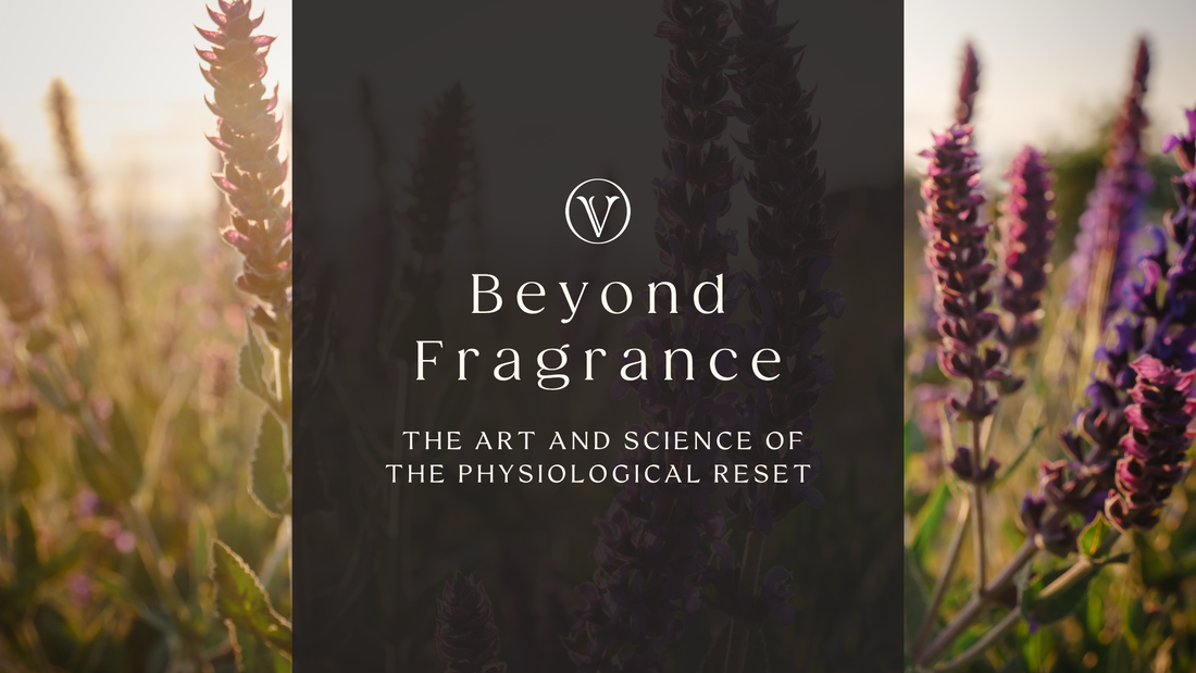 The Science of the Pivot: Why Scent Is a Physiological Tool, Not a Cosmetic